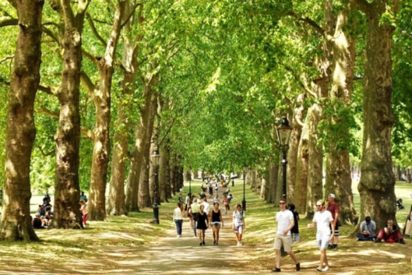 London's Hidden Green Spaces That Are Worth the Detour