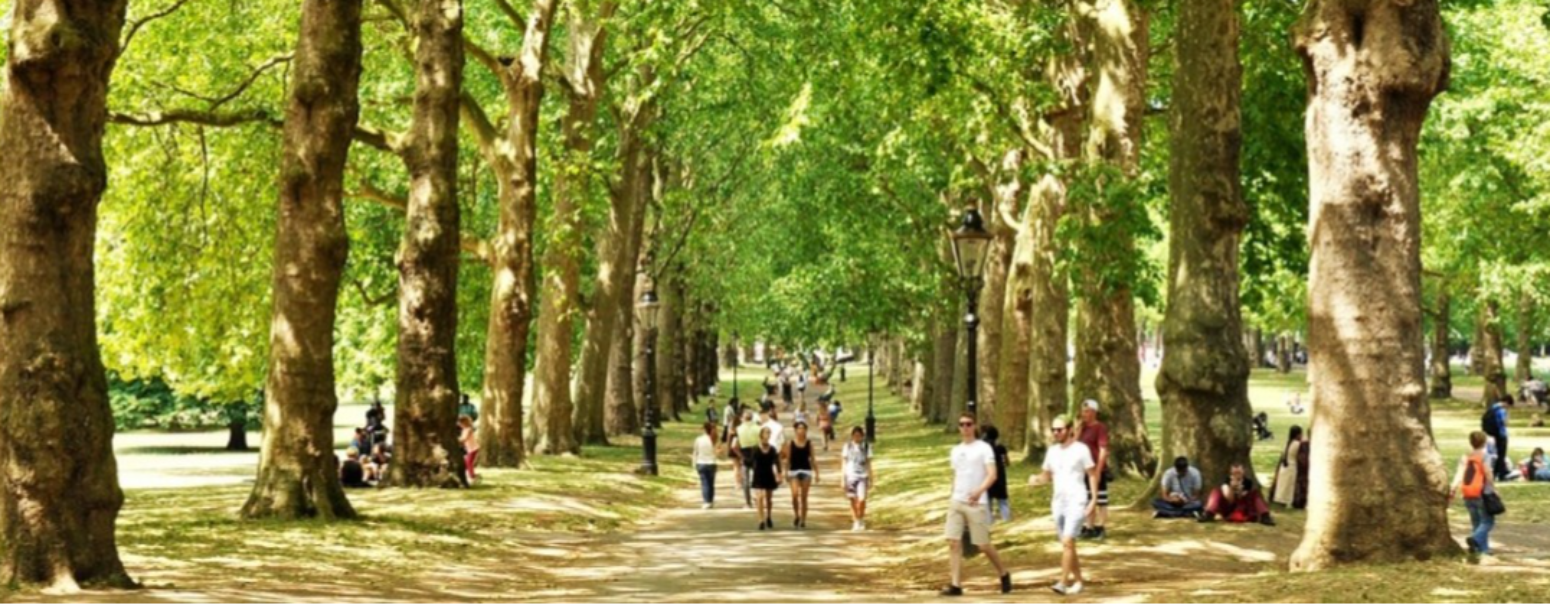 London's Hidden Green Spaces That Are Worth the Detour